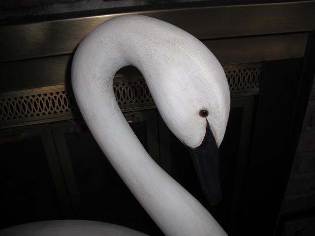 Life Size Swan